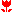 ޲