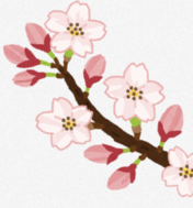 �f�l���� ��������y�� ���cofficial�e�X�g�����